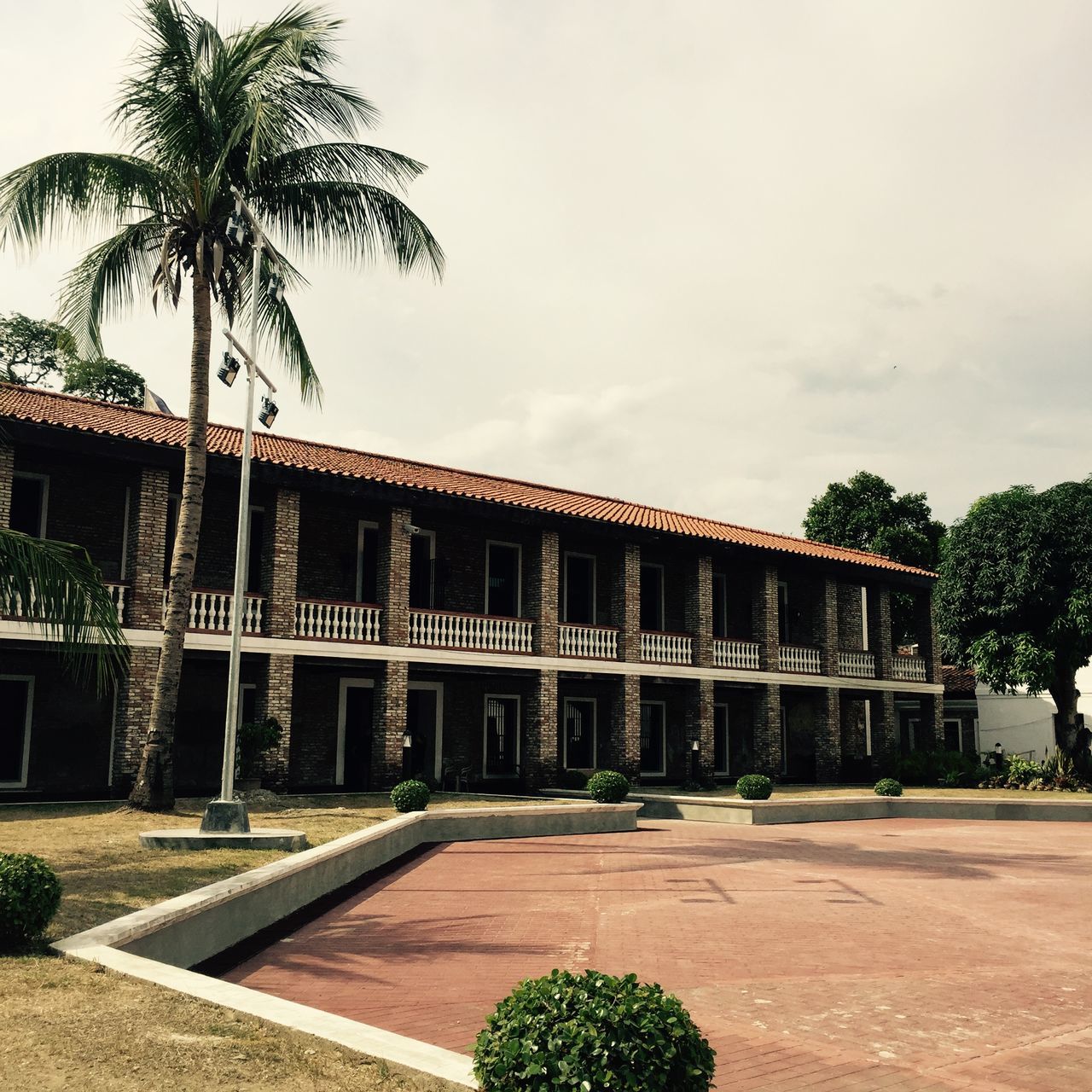 architecture, built structure, building exterior, tree, palm tree, sky, growth, incidental people, day, outdoors, building, sunlight, low angle view, plant, history, house, city, cloud - sky, no people, travel destinations