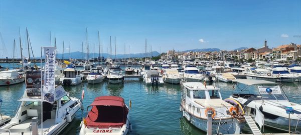Sailboats moored in harbor