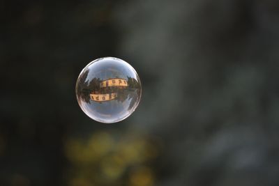 Close-up of bubble in mid-air