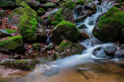 View of waterfall in forest