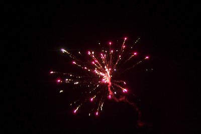 Low angle view of firework display