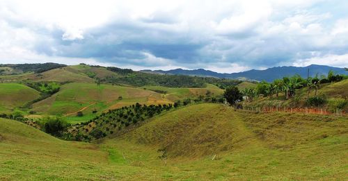 Scenic view of landscape against sky