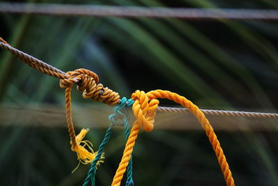 Close-up of rope