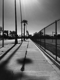 Footpath amidst palm trees against sky