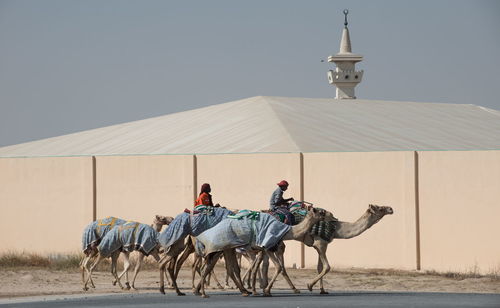 Men riding horse cart against sky