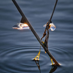 Close-up of fire on lake