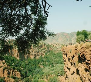 Scenic view of landscape against clear sky