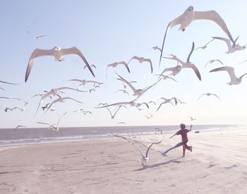 Playful boy with birds at beach against sky