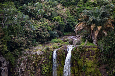 View of waterfall in forest