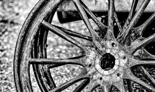 Close-up of tree against blue sky