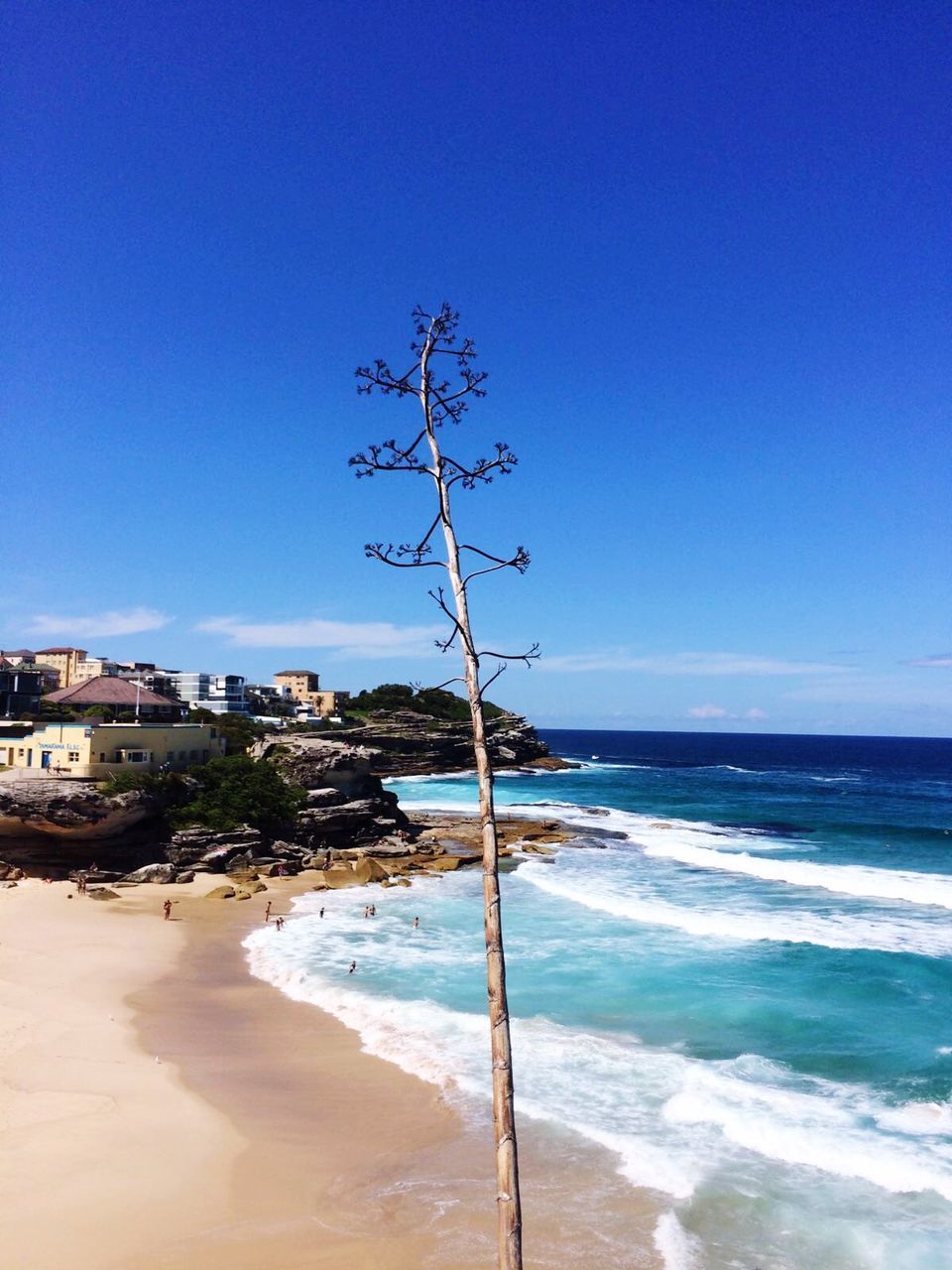 SCENIC VIEW OF BEACH AGAINST CLEAR SKY