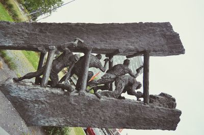 Close-up of log on tree