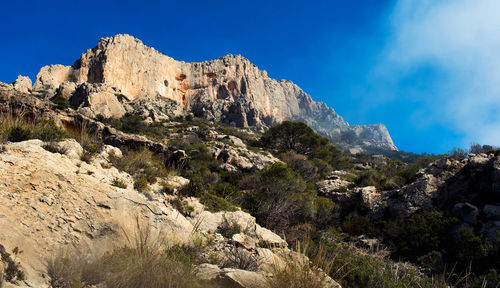 Low angle view of tree mountain against sky