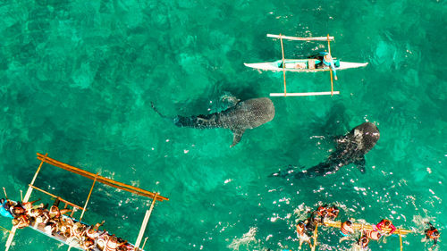 High angle view of boat in sea