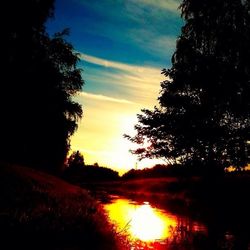 Sun shining through trees