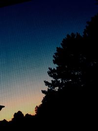 Low angle view of silhouette trees against clear sky