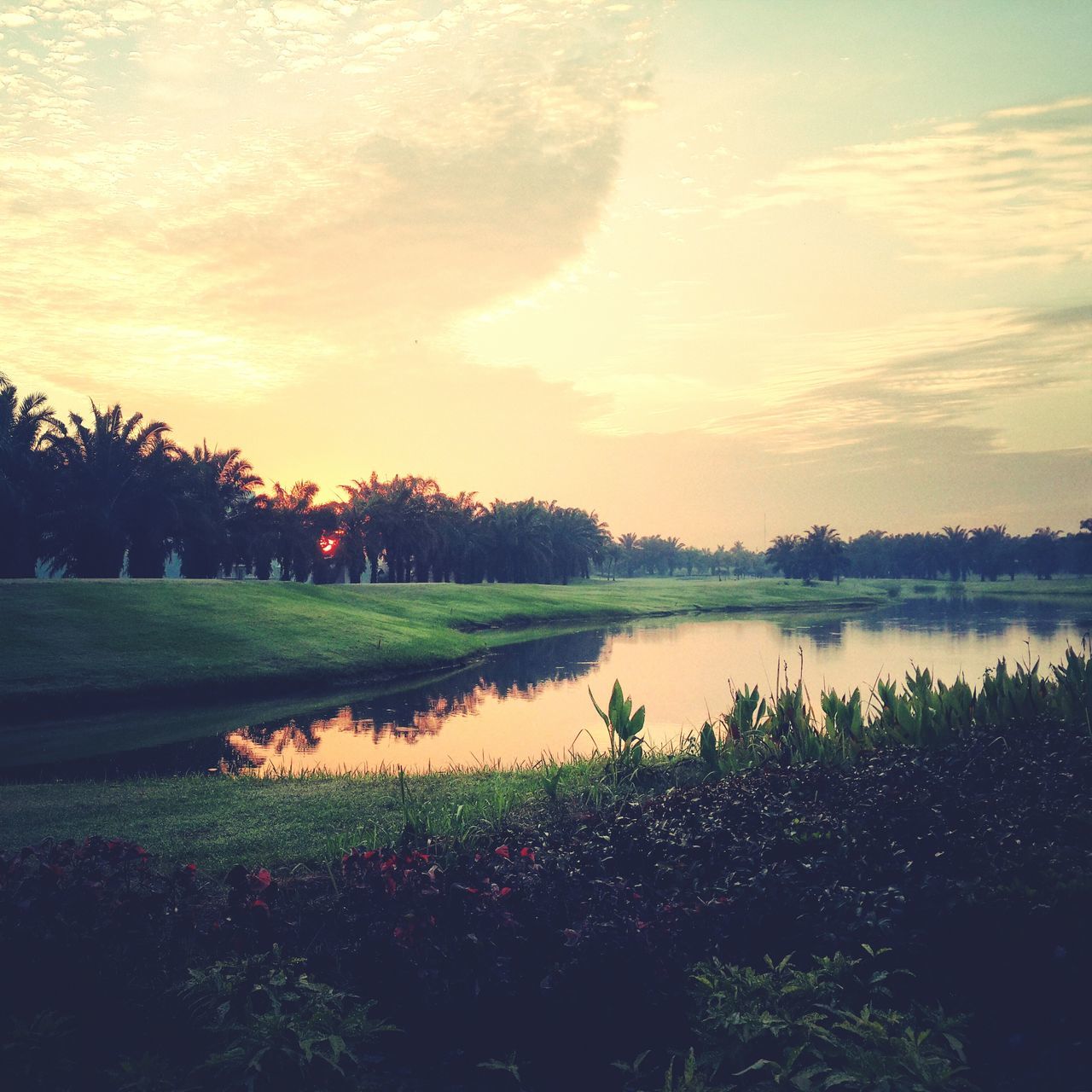 tranquil scene, sunset, tranquility, sky, water, scenics, beauty in nature, lake, tree, nature, reflection, cloud - sky, growth, idyllic, landscape, grass, field, plant, river, cloud