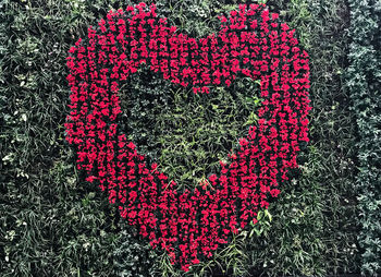 Close-up of heart shape with pink flowers