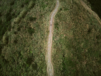 Aerial view of trail on land