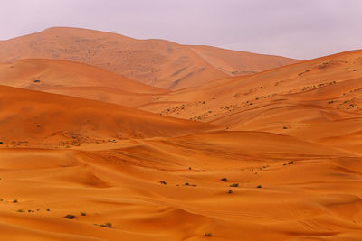 The desert ii, hotan-china