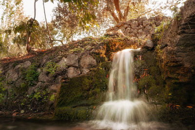 Close up. small waterfall in a magical forest at sunset