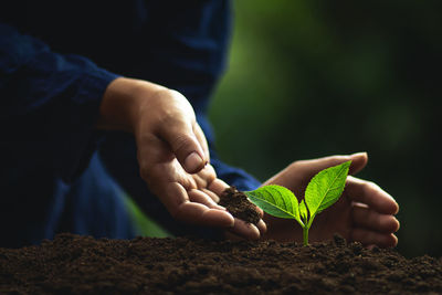 Midsection of person planting sapling on mud