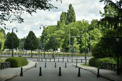 Trees in park against sky in city