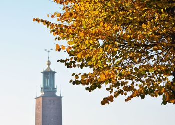 Low angle view of tree and building against sky