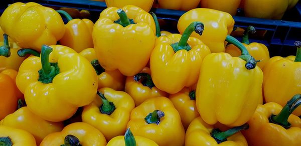 Close-up of yellow bell peppers for sale at market stall