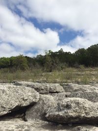 Rocks on landscape