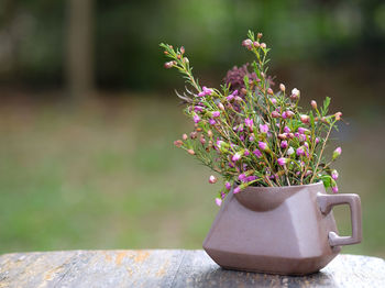 Close-up of pink flower pot on table