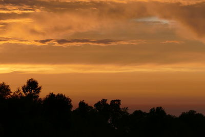 Low angle view of silhouette trees against orange sky