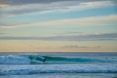 Silhouette of people surfing on beach