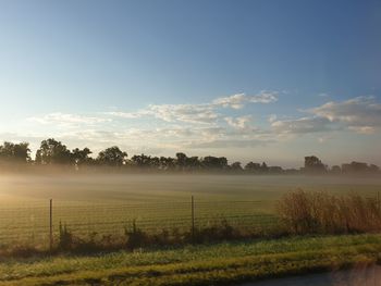 Scenic view of field against sky