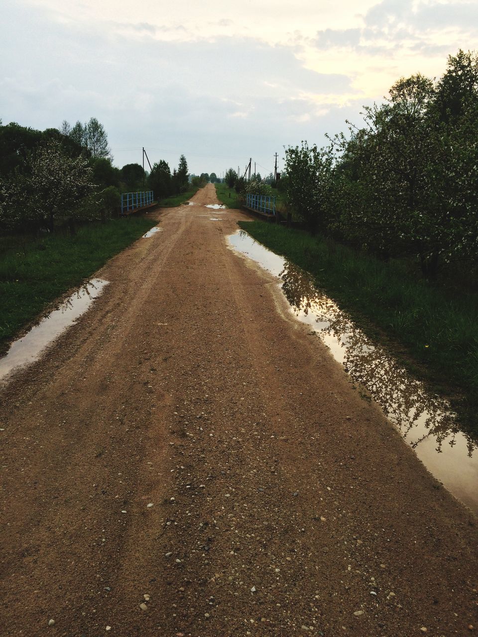 the way forward, sky, tree, road, diminishing perspective, vanishing point, transportation, asphalt, cloud - sky, street, tranquility, tranquil scene, empty road, nature, dirt road, surface level, country road, day, outdoors, road marking