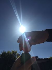 Low angle view of sun shining through trees