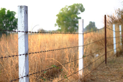 Close-up of barbed wire fence on field