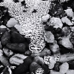 Full frame shot of rocks