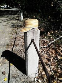 High angle view of abandoned chair on field in forest