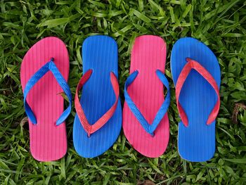 Photo of colorful rubber slippers or flip flops on fresh green grass