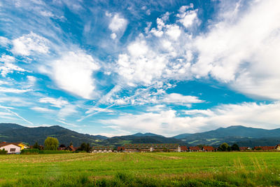 Scenic view of field against sky