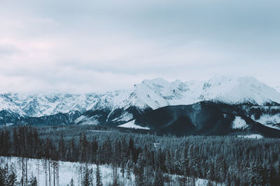 Scenic view of snowcapped mountains against sky