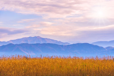 Scenic view of field against mountains