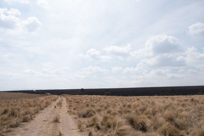 Scenic view of land against sky