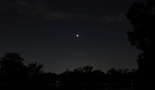 Low angle view of silhouette trees against sky at night