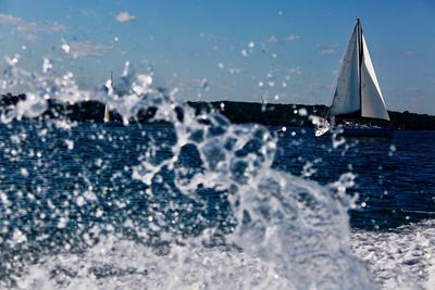 Sailboat sailing in sea