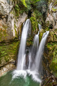 Scenic view of waterfall in forest