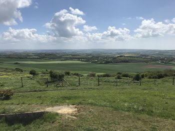 Scenic view of field against sky