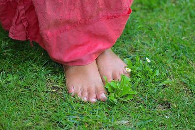 Low section of woman standing on grass in field