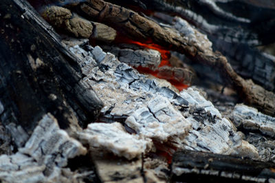 Close-up of wood